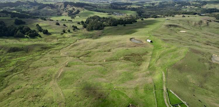 426 Mangarata Block Road Arapohue_2