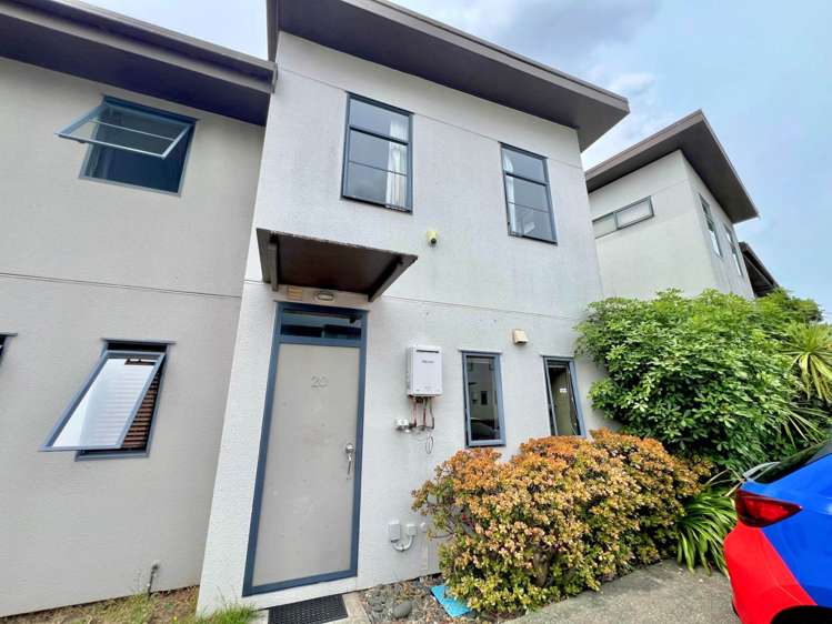 20/42 Holly Street Avondale_13