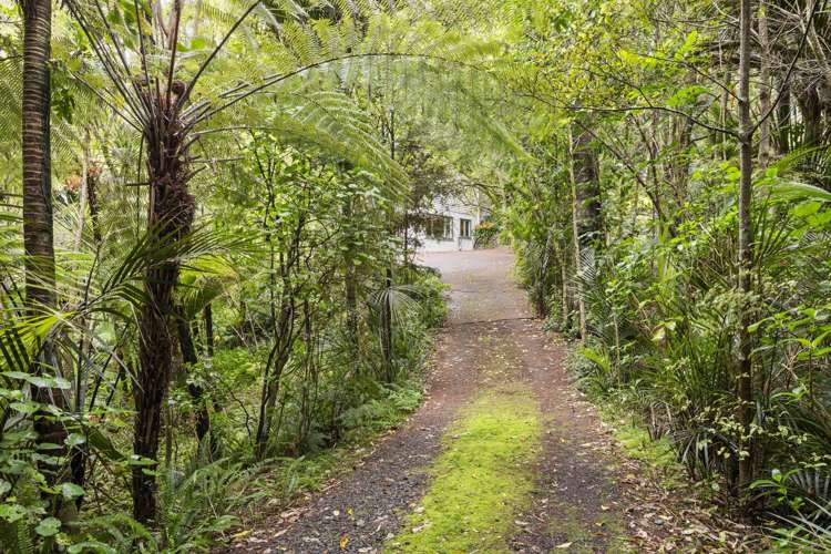 22 Paturoa Road Titirangi_16