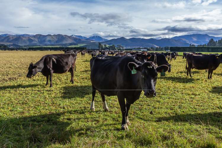 670 The Peaks Road Hawarden_18