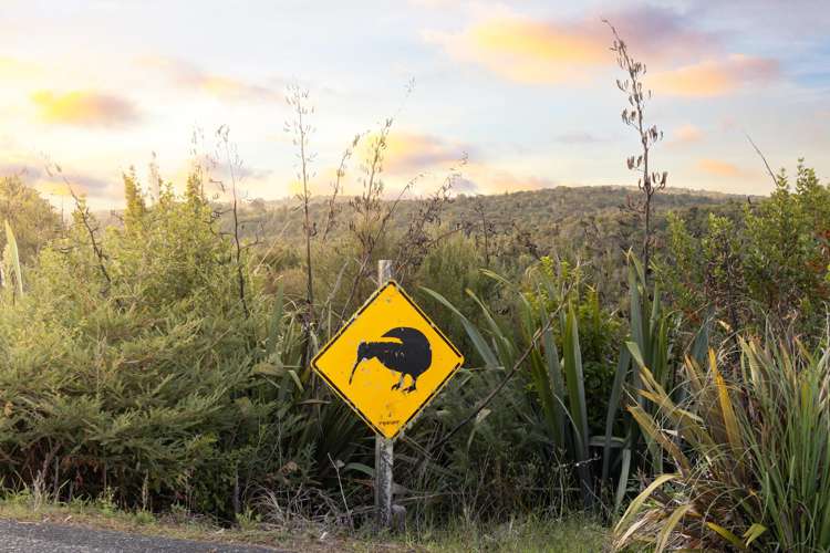 1612P Pakiri Road Pakiri_28