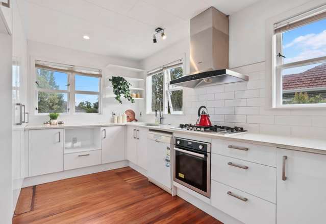 31 Preston Avenue Mt Albert_2