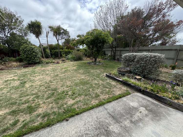 149 Maxwell Road Blenheim_6