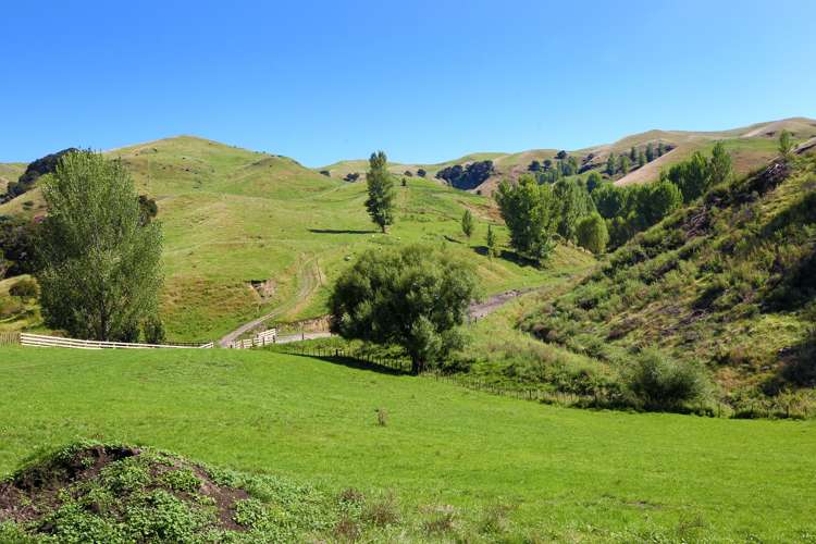 754 Puketitiri Road Puketapu_3