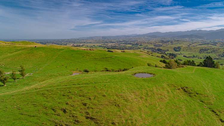 1094 Opaki Kaiparoro Road Rangitumau_11