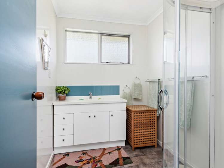 11 March Street Spring Creek_9