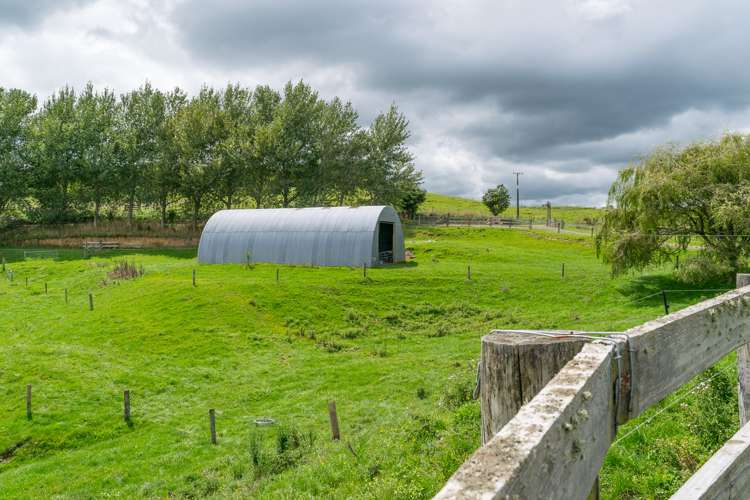 428 Whatauri Road Wharepapa South_5