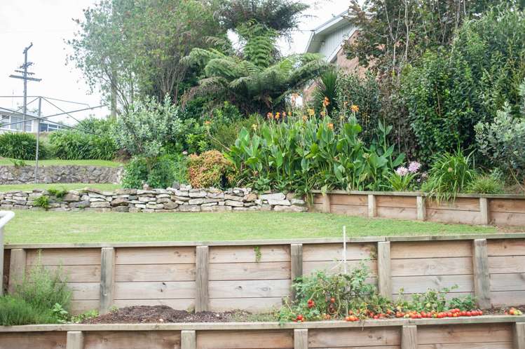 4 Glen View Avenue Otorohanga_7