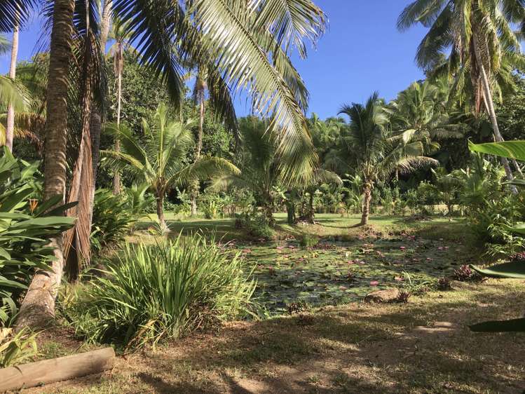 lot 15and16 Sekawa Estate Savusavu_12