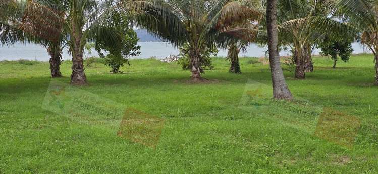 Address withheld Fantasy_14