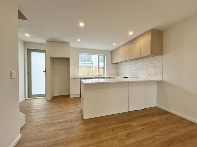 Large brand new 2 bedroom townhouse on Trent Street