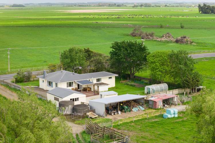 1331 Rongotea Road Kairanga_5