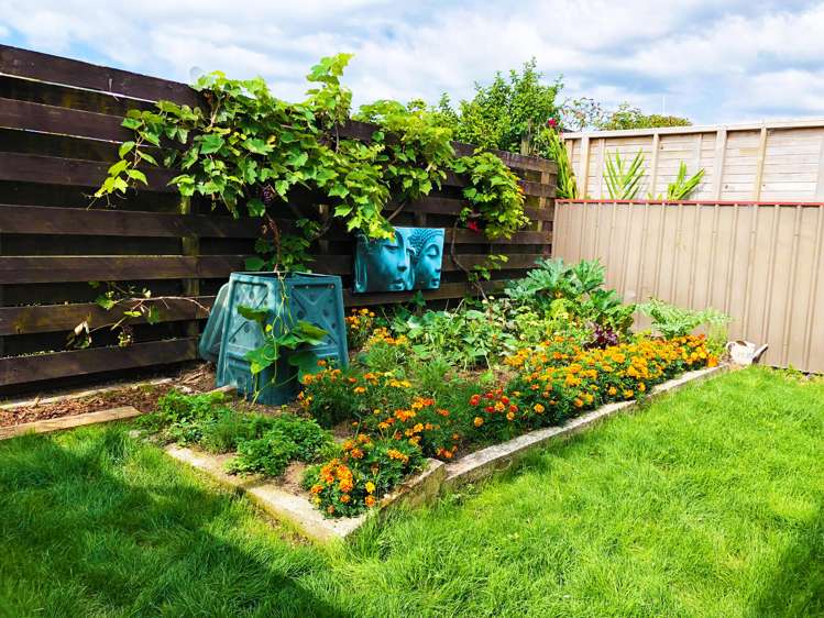 6a Audrey Place Matua_13