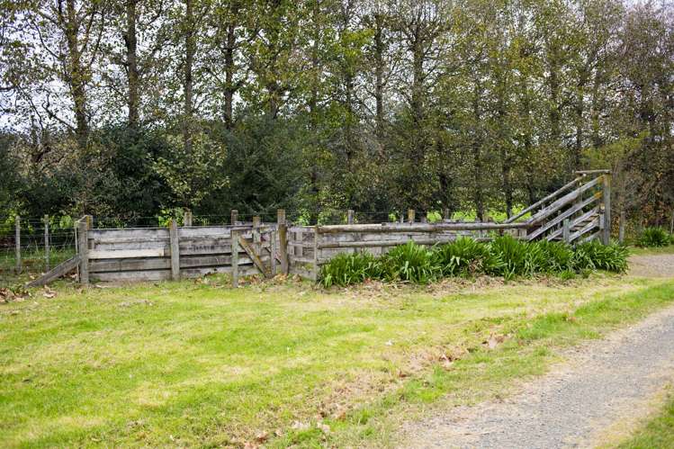 2212 Matawai Road Te Karaka_9