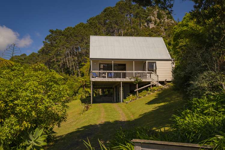 101 Grange Road Hahei_6