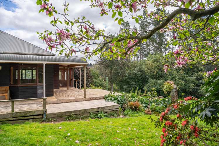 11 Pahoia Road_4
