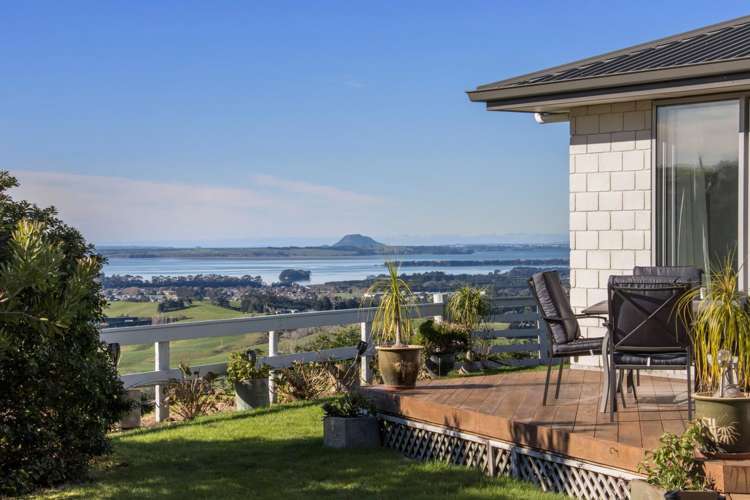 345A Lindemann Road Katikati_5