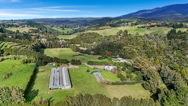 484C Wright Road Aongatete_20