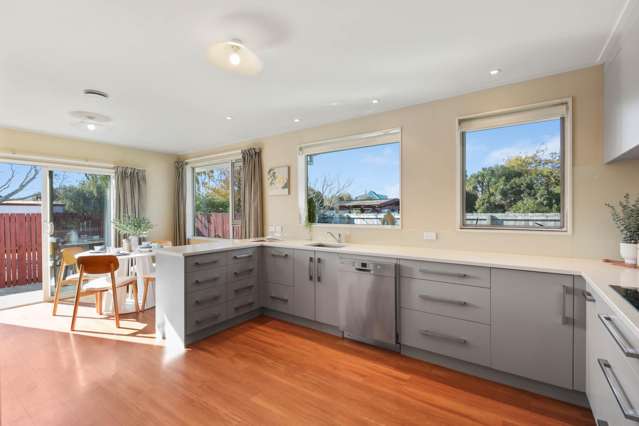 11 Bary Street Springlands_2