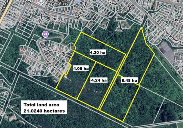 DEVELOPMENT OPPORTUNITY CENTRAL GREYMOUTH