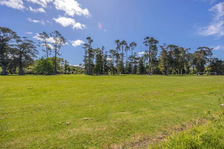 53 Wilsher Crescent Henderson_8