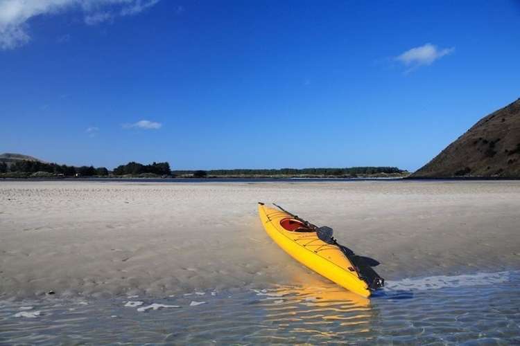 297 Cape Saunders Road Cape Saunders_14