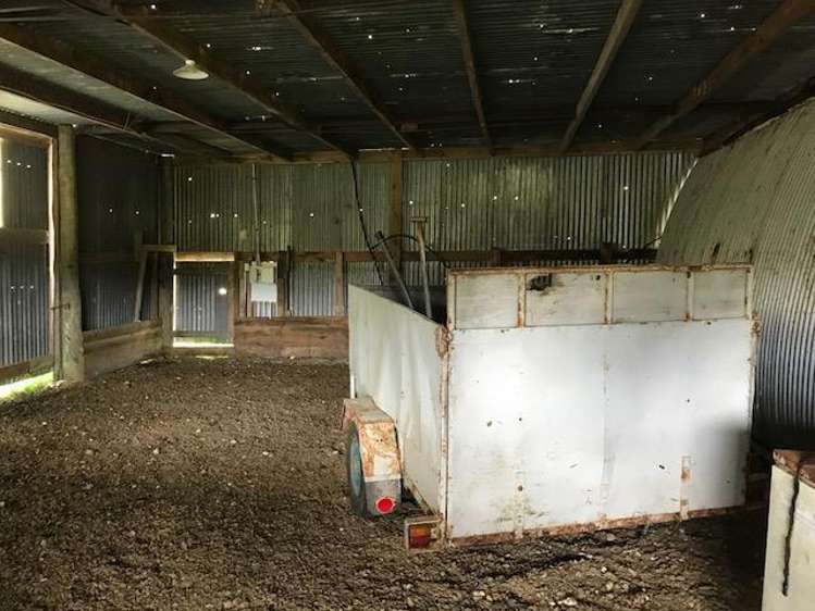 Ovens Road Matakohe_21