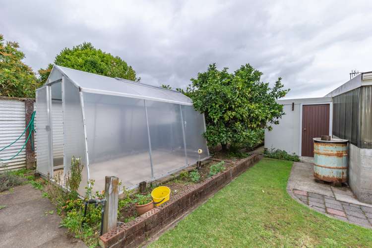 6 Grey Street Levin_13