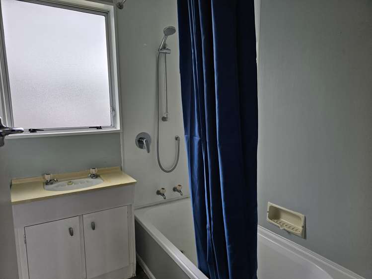 7a Guy Avenue Levin_6