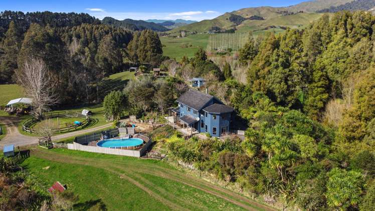 3207 State Highway 23 Raglan_1