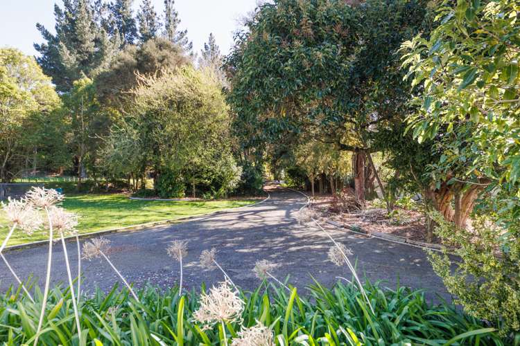 151 Mulgrave Street Ashhurst_7