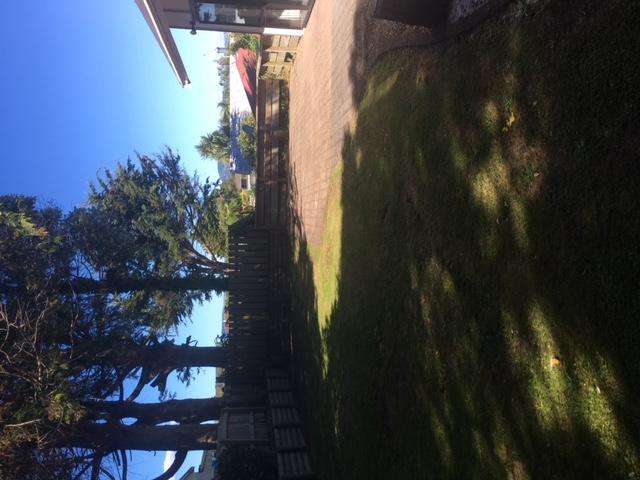 92a Kawaha Point Road 11056_3