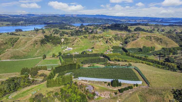 443C State Highway 2 Opotiki_8
