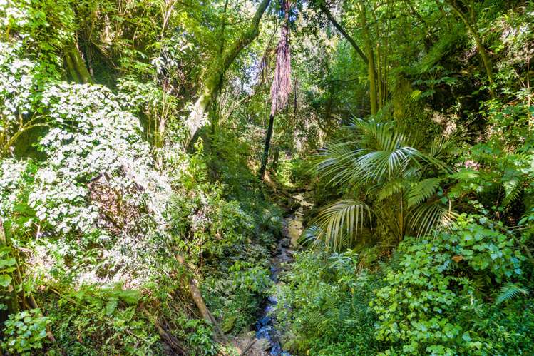 8 Natusch Road Belmont_21