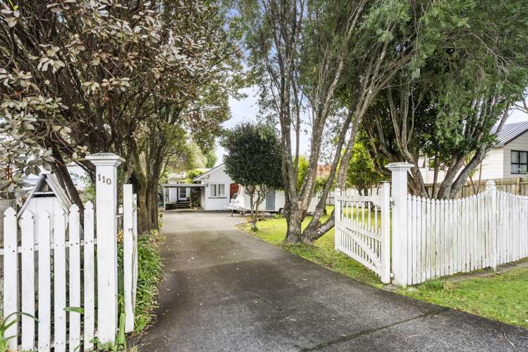 110 Mcleod Road Te Atatu South_2