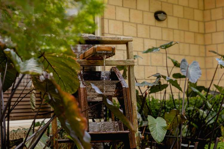 563 Belk Road Kaimai_21