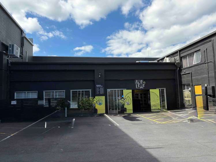 Suite A/37 Crummer Road Grey Lynn_0