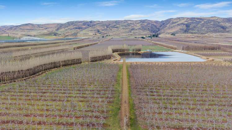 213 Kinaston Road Roxburgh_0