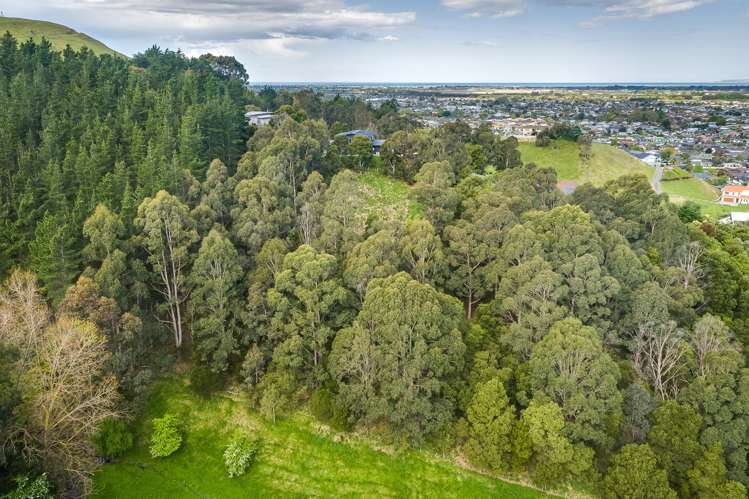 19 Ridgeway Terrace Taradale_5