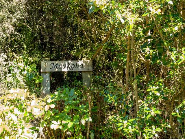 10 Kukupa Place Pigeon Bay_1