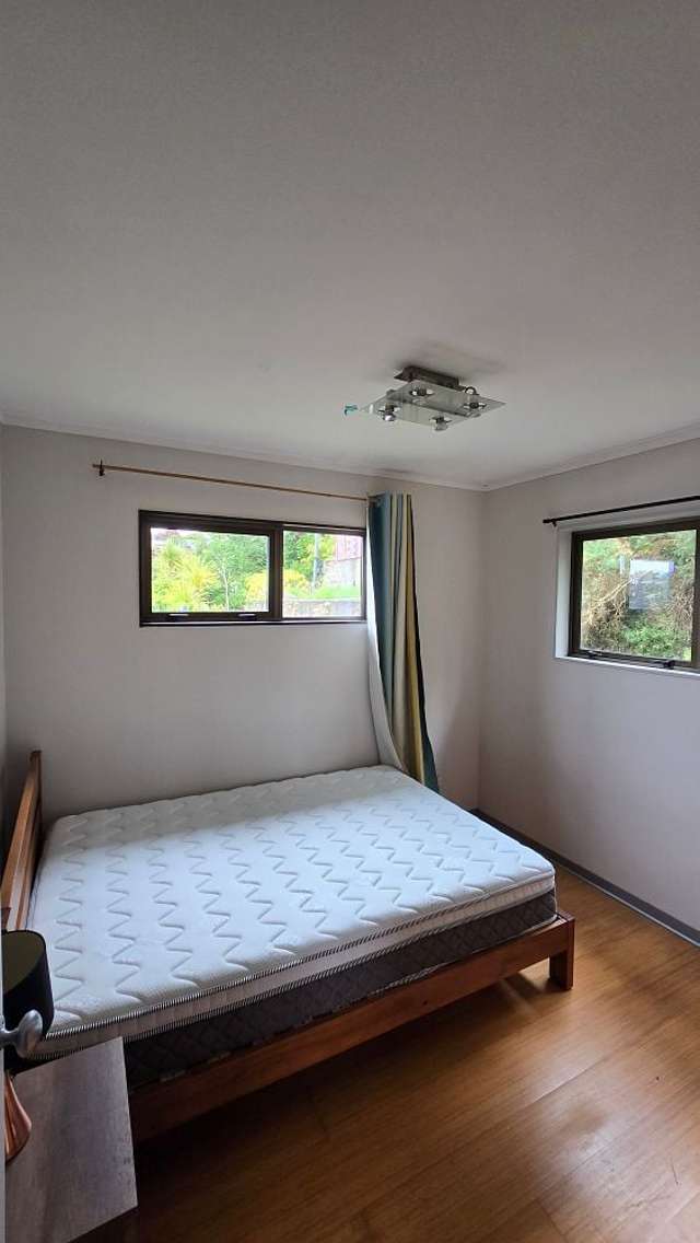 77A Miramar North Road Miramar_1