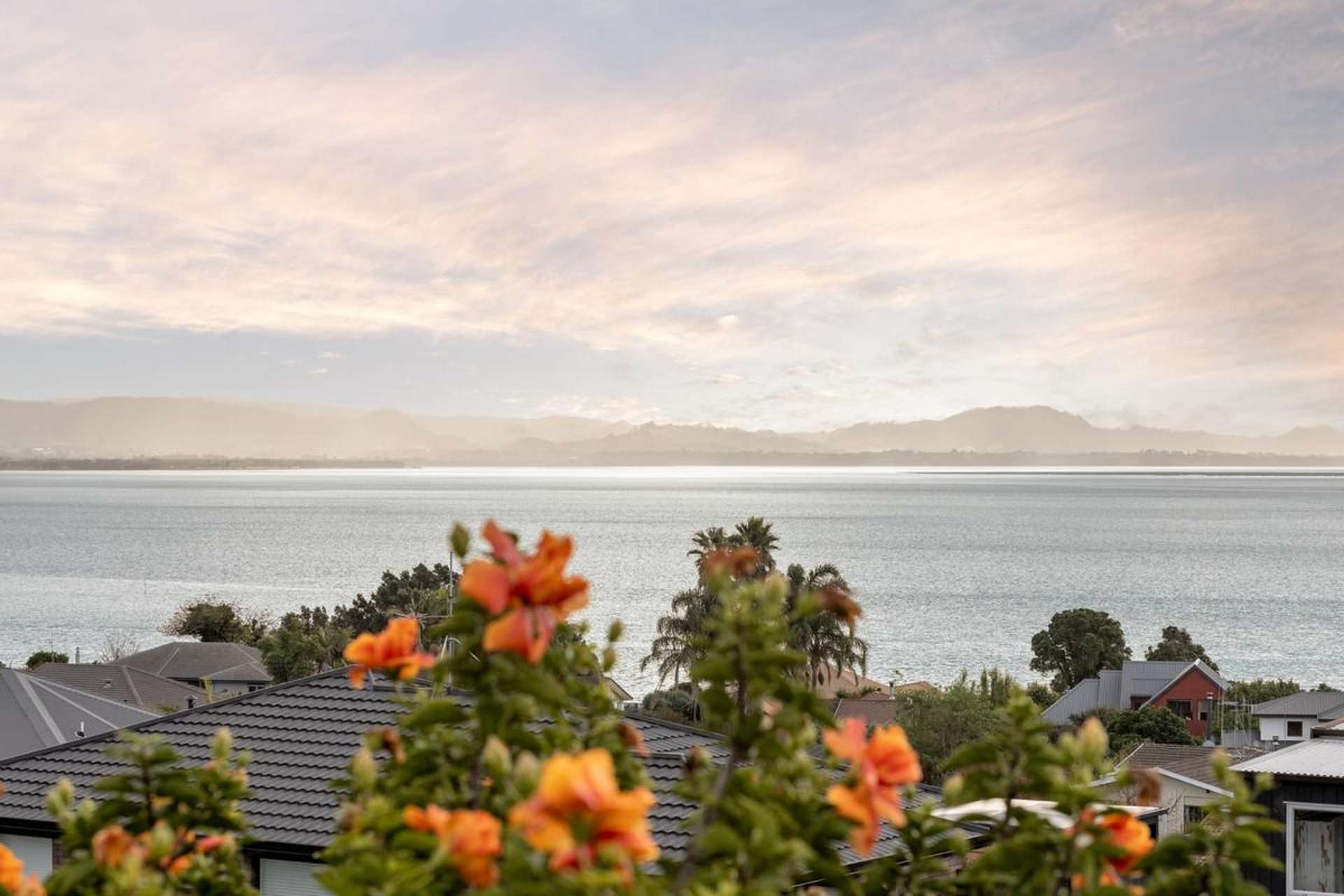 5 Vivian Drive Omokoroa_0