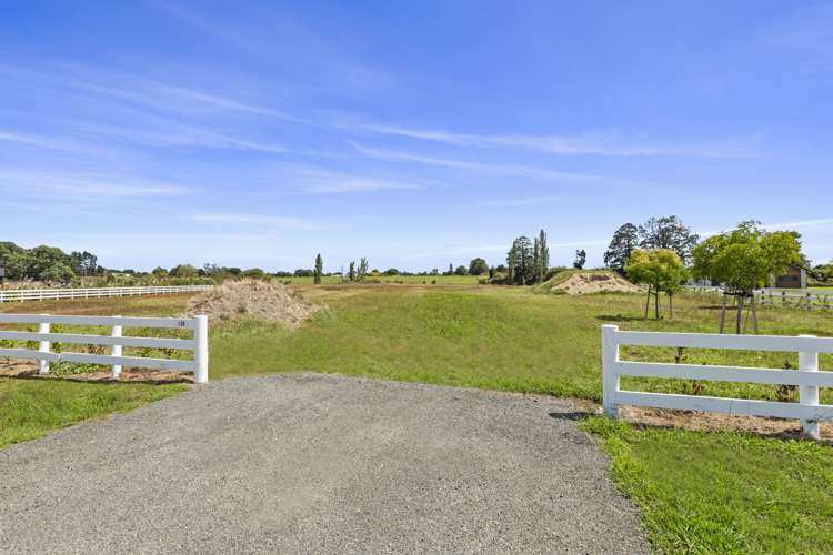 179 Webster Road Matangi_5