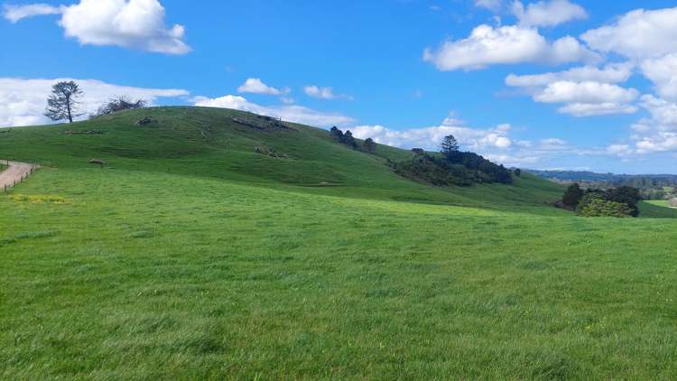 Crows Nest Road Hukerenui_14