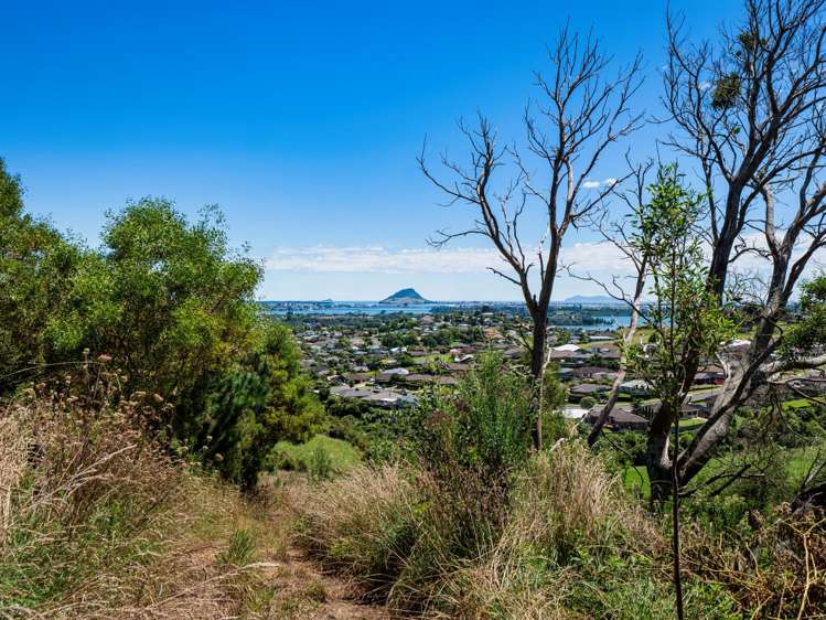 361 Kaitemako Road Welcome Bay_16