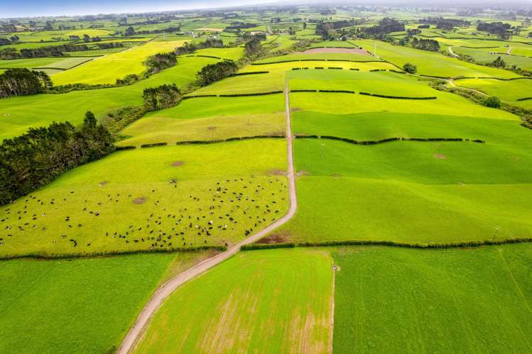 358 Opunake Road Cardiff_6