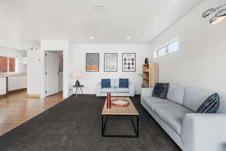 12 McLeish Lane Spreydon_15