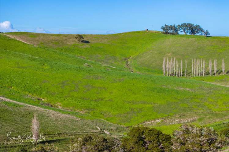 Massey Road Maungaturoto_35