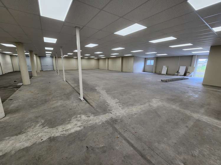 81 Greenwood Street Frankton_5