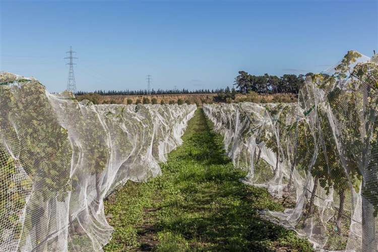 73 Mackenzies Road Waipara_10